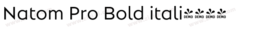 Natom Pro Bold itali字体转换